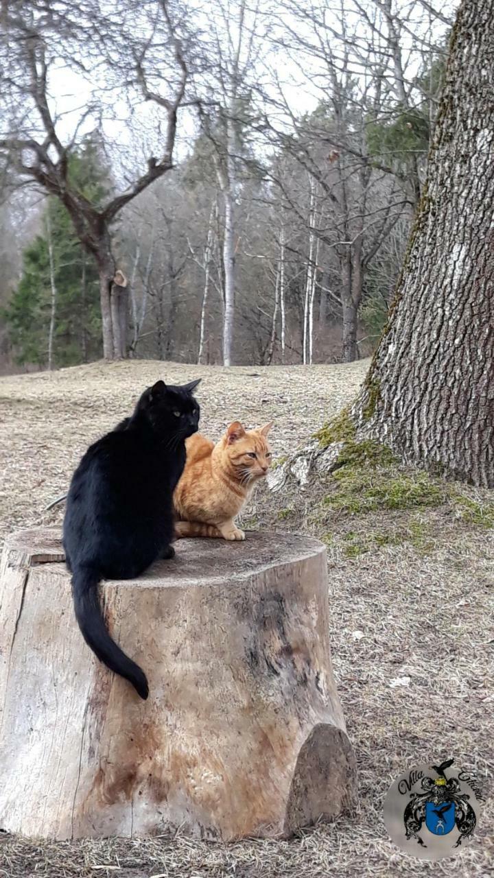 Villa Cheval Aukstadvaris Bagian luar foto