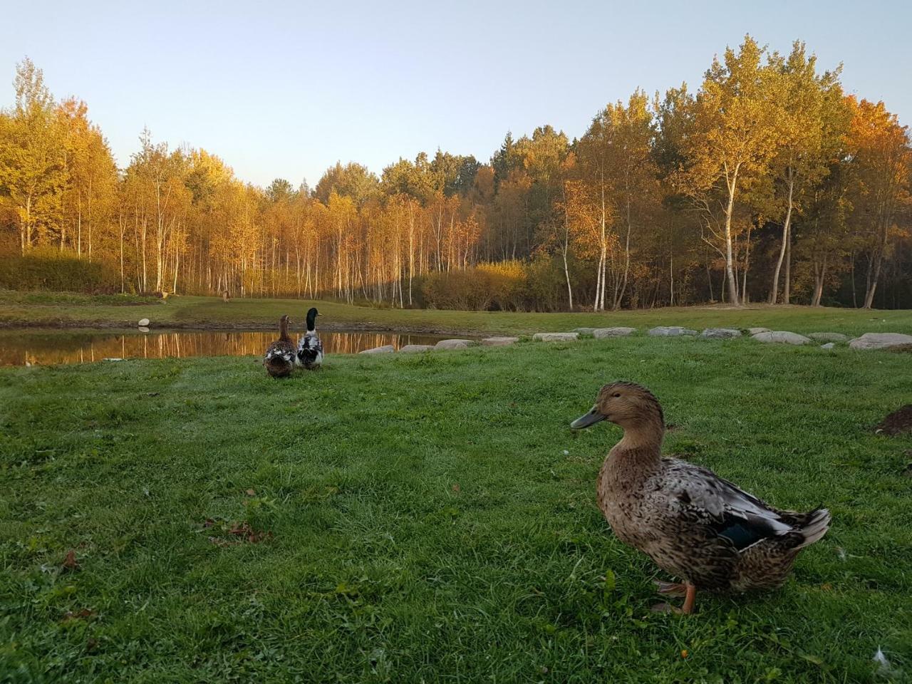 Villa Cheval Aukstadvaris Bagian luar foto